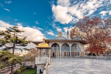 Tour pomeridiano di mezza giornata delle reliquie ottomane di Istanbul